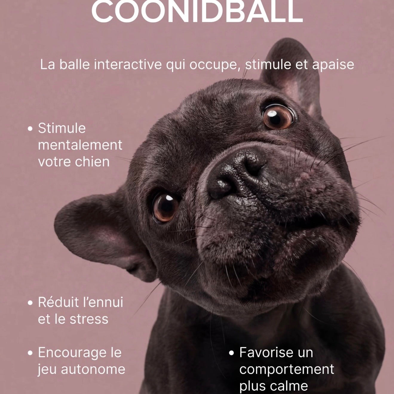 CoonidBall – Balle interactive