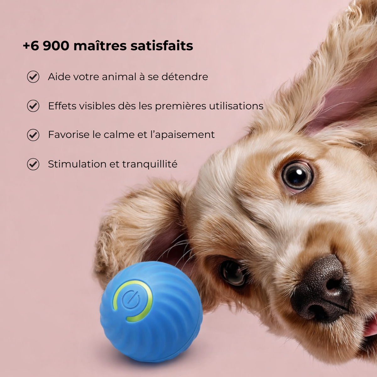 CoonidBall – Balle interactive