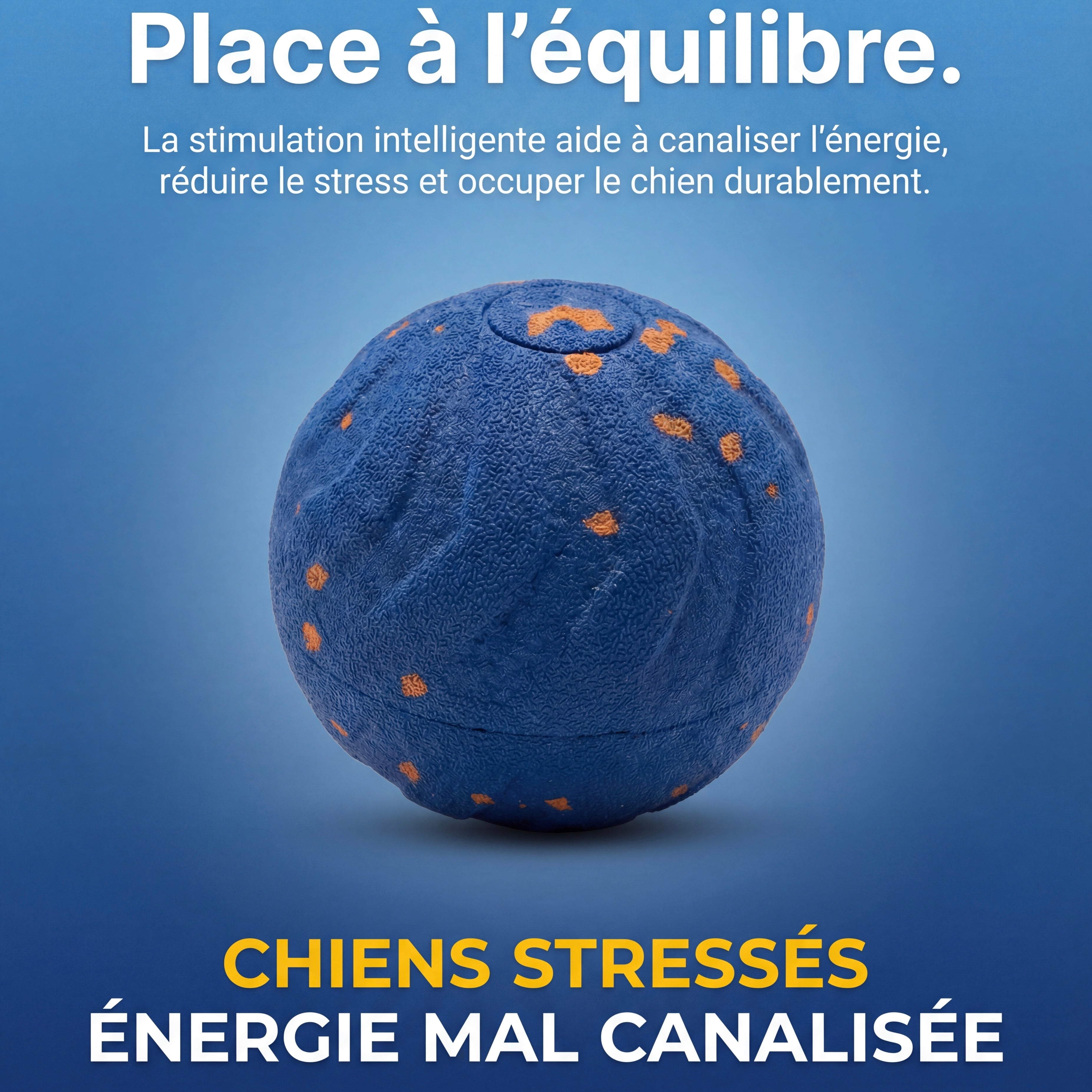 Coonidball - Balle interactive