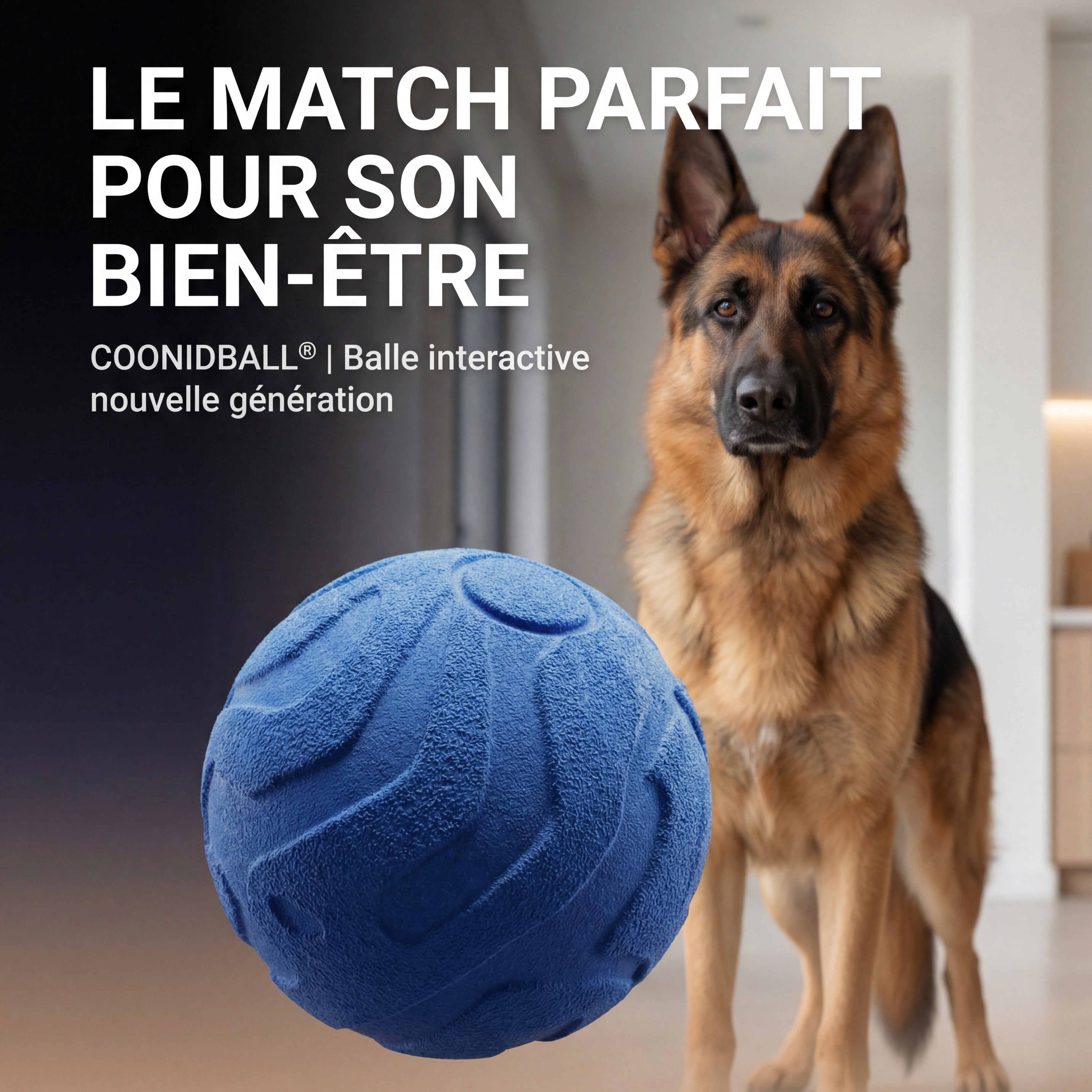 Coonidball - Balle interactive